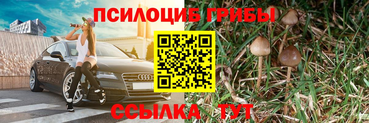 Псилоцибиновые грибы Psilocybe  Псилоцибиновые грибы мицелий  Вход с VPN  Туапсе 